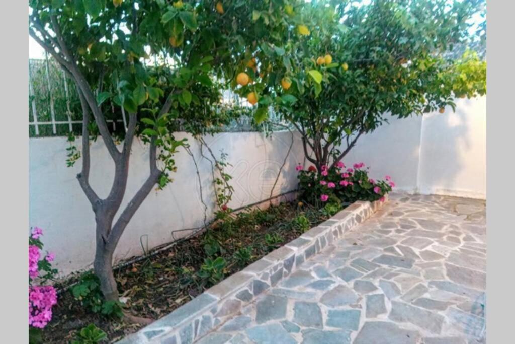 Lagonisi Magic Home Relaxation Kalivia Thorikou ภายนอก รูปภาพ